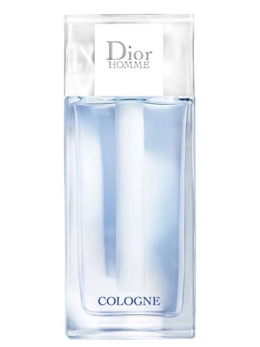 dior homme 2022 cologne|dior homme note olfattive.